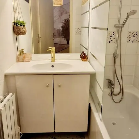 Apartment T1bis Meuble Cozy Avec Jardin Et Parking Prive Toulouse